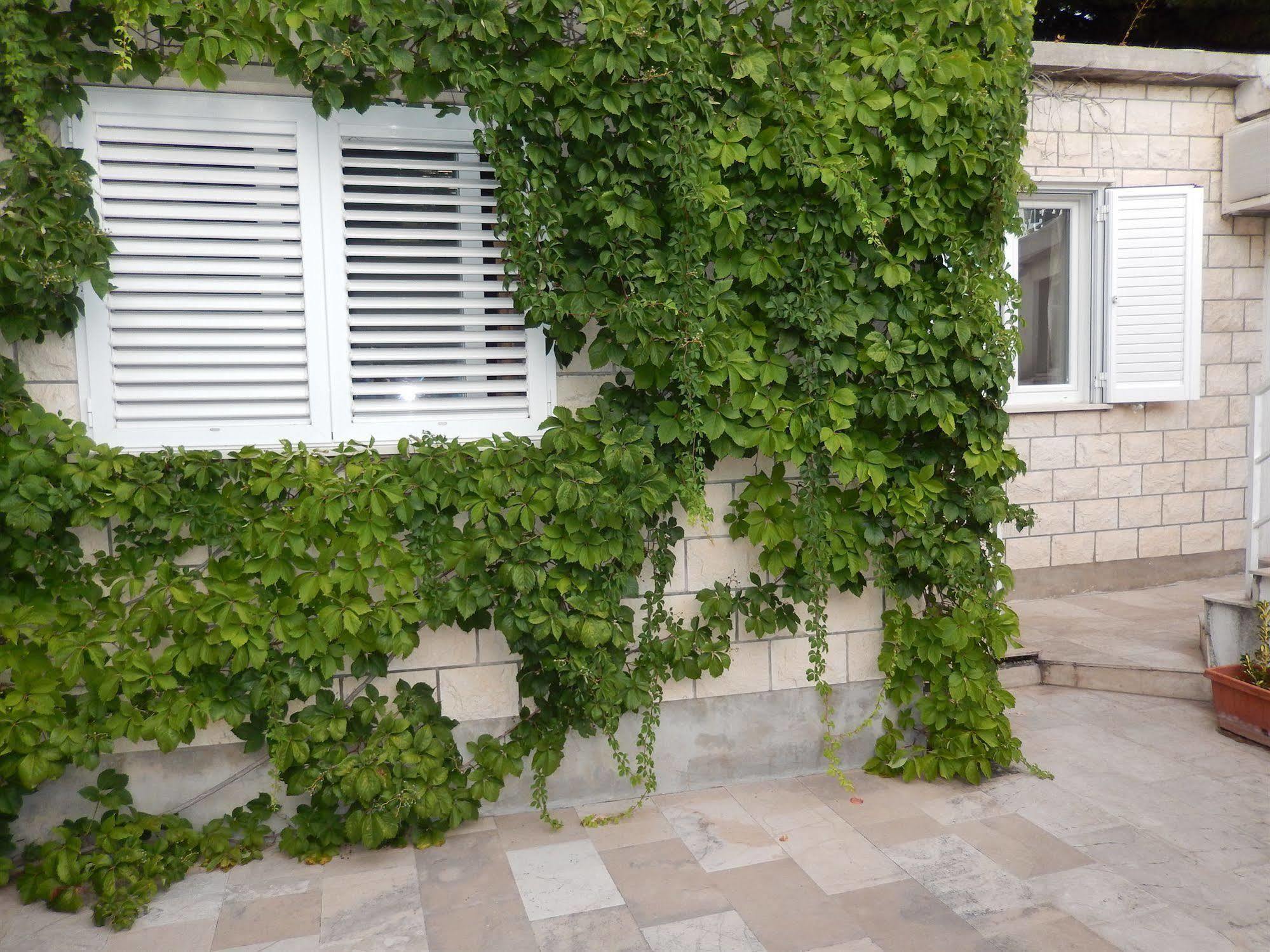 Amazing Sea View Apartments Dubrovnik Exterior photo